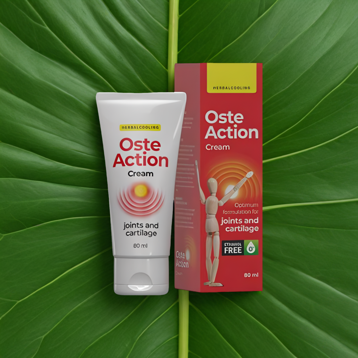 OSTEACTION