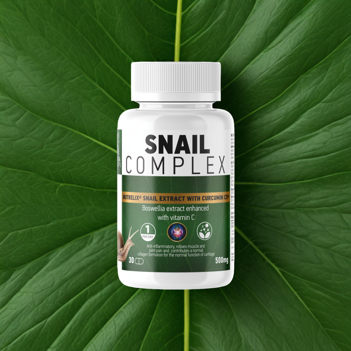 Snail Complex